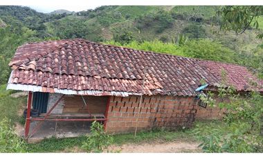 VENDO FINCA AGRICOLA 30 HAS (43 CUADRAS) POR BALBOA RISARALDA