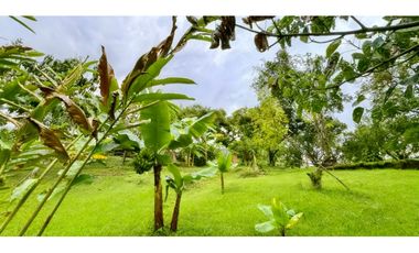 Finca campestre en venta con piscina - La Buitrera Palmira Valle