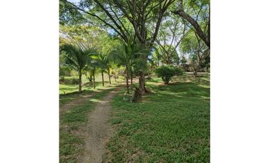 SE VENDE CASA FINCA EN PALERMO