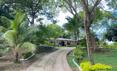 SE VENDE CASA FINCA EN PALERMO