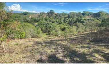 Finca en Venta - El Triunfo, Neiva.