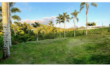 VENTA DE ESPECTACULAR LOTE CAMPESTRE SECTOR COMBIA-PEREIRA