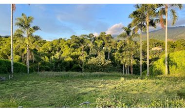VENTA DE ESPECTACULAR LOTE CAMPESTRE SECTOR COMBIA-PEREIRA