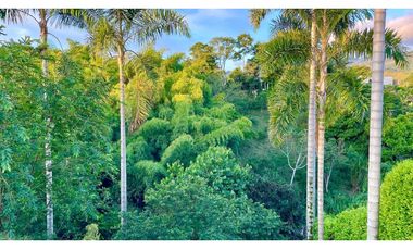 VENTA DE ESPECTACULAR LOTE CAMPESTRE SECTOR COMBIA-PEREIRA