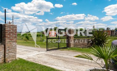 Casa en alquiler c/ cochera en Carlos Spegazzini