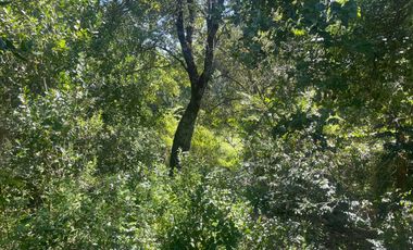 Parcela en venta en PARRAL