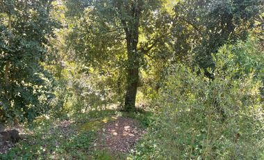 Parcela en venta en PARRAL