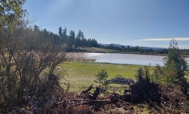 Parcela en venta en CAUQUENES