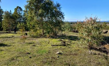 Parcela en venta en CAUQUENES