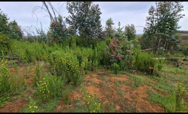 Parcela en venta en SANTA JUANA