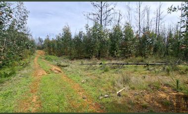 Parcela en venta en SANTA JUANA