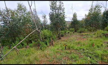 Parcela en venta en SANTA JUANA