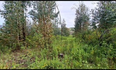 Parcela en venta en SANTA JUANA