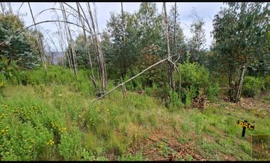 Parcela en venta en SANTA JUANA