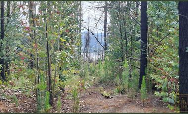 Parcela en venta en SANTA JUANA