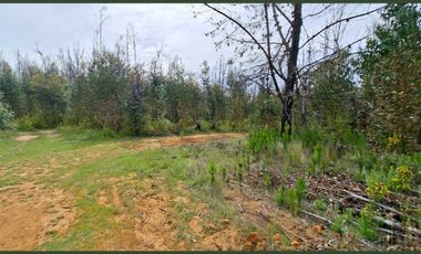 Parcela en venta en SANTA JUANA