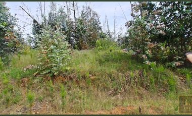 Parcela en venta en SANTA JUANA