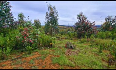Parcela en venta en SANTA JUANA