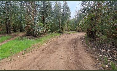 Parcela en venta en SANTA JUANA