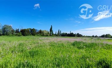 Sitio en Venta en Sector Virgüin, San Carlos