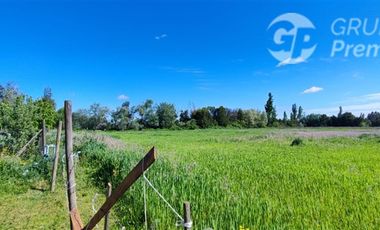 Sitio en Venta en Sector Virgüin, San Carlos