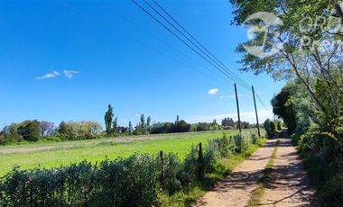 Sitio en Venta en Sector Virgüin, San Carlos