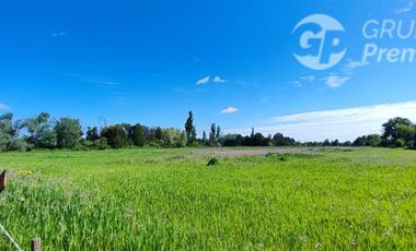 Sitio en Venta en Sector Virgüin, San Carlos