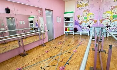 Local Comercial en Arriendo en AV MACUL