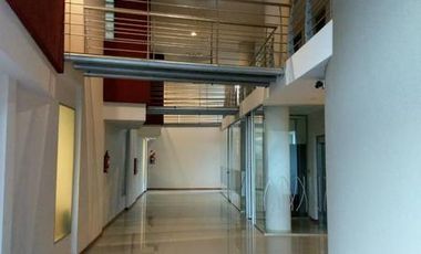 Luis N Palma 450  (UF 42,47,52)