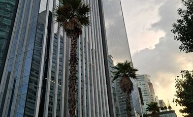 Renta Oficinas en Santa Fe con Superficies disponibles