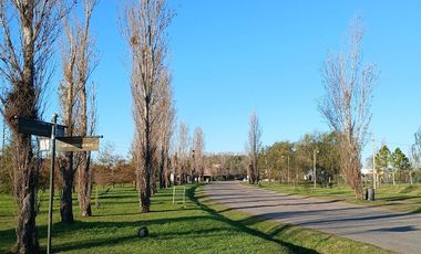 Lote 611 m2-Barrio Las Tardes-Roldán | Venta