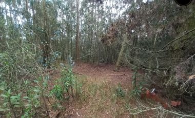 Terreno de venta en Tarqui – código:22109