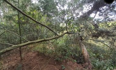 Terreno de venta en Tarqui – código:22109