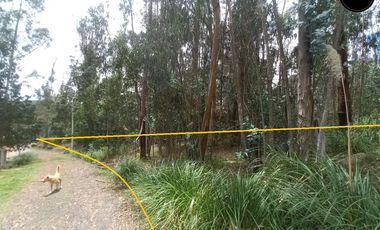 Terreno de venta en Tarqui – código:22109