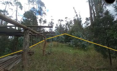 Terreno de venta en Tarqui – código:22109