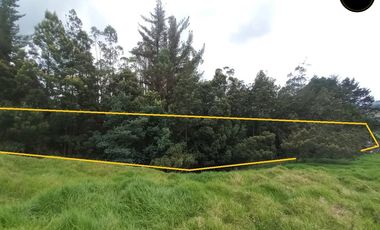 Terreno de venta en Tarqui – código:22109