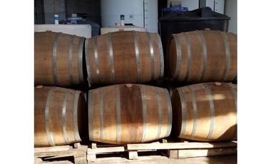 Illapel Parcela Agrícola 10,32 hectáreas 11 acciones de agua de riego