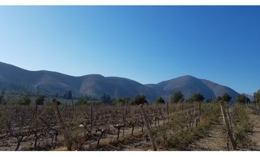 Illapel Parcela Agrícola 10,32 hectáreas 11 acciones de agua de riego