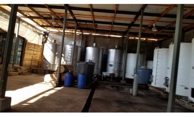 Illapel Parcela Agrícola 10,32 hectáreas 11 acciones de agua de riego