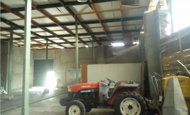 Illapel Parcela Agrícola 10,32 hectáreas 11 acciones de agua de riego