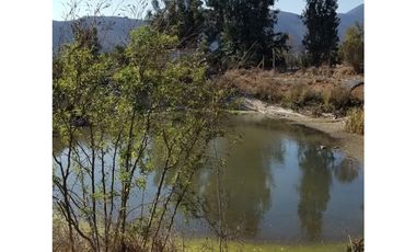 Illapel Parcela Agrícola 10,32 hectáreas 11 acciones de agua de riego