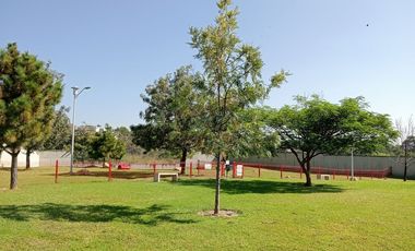 Estrena casa en renta en La Cima coto G