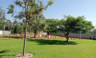 Estrena casa en renta en La Cima coto G