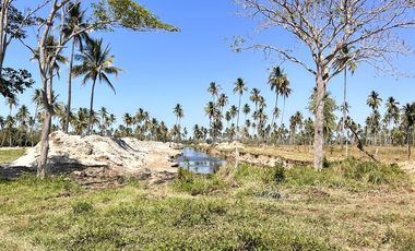 VIVE CERCA DE LA PLAYA RODEADO DE INFINITA NATURALEZA TIPO RIVIERA MAYA EN TABASCO