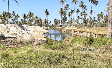 VIVE CERCA DE LA PLAYA RODEADO DE INFINITA NATURALEZA TIPO RIVIERA MAYA EN TABASCO