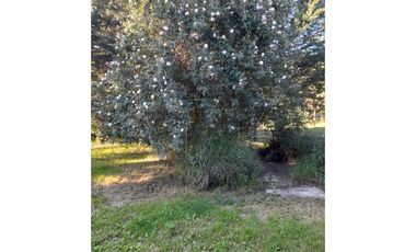 Parcela en condominio  San Francisco de Colina