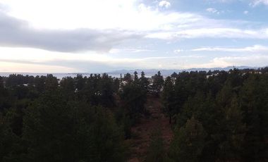 Venta Departamento en Pinares de Montemar