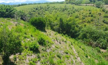 LOTE EN VENTA EN CERRITOS/PEREIRA