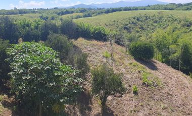 LOTE EN VENTA EN CERRITOS/PEREIRA