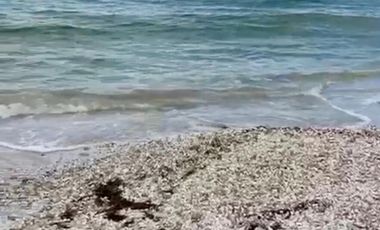 CASA EN CHELEM PROGRESO YUCATAN